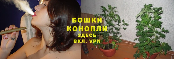 СК Вяземский