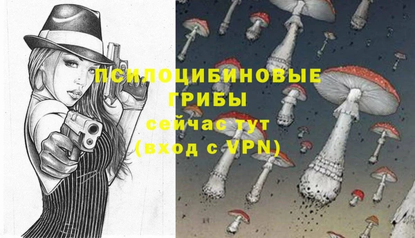 СК Вяземский